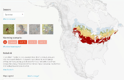 Interactive Bobolink range map of North America with season and climate-warming scenario controls.