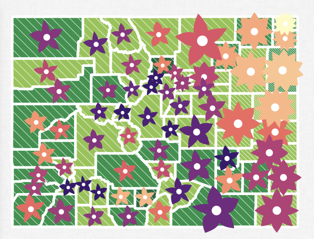 Regenerating Colorful Colorado