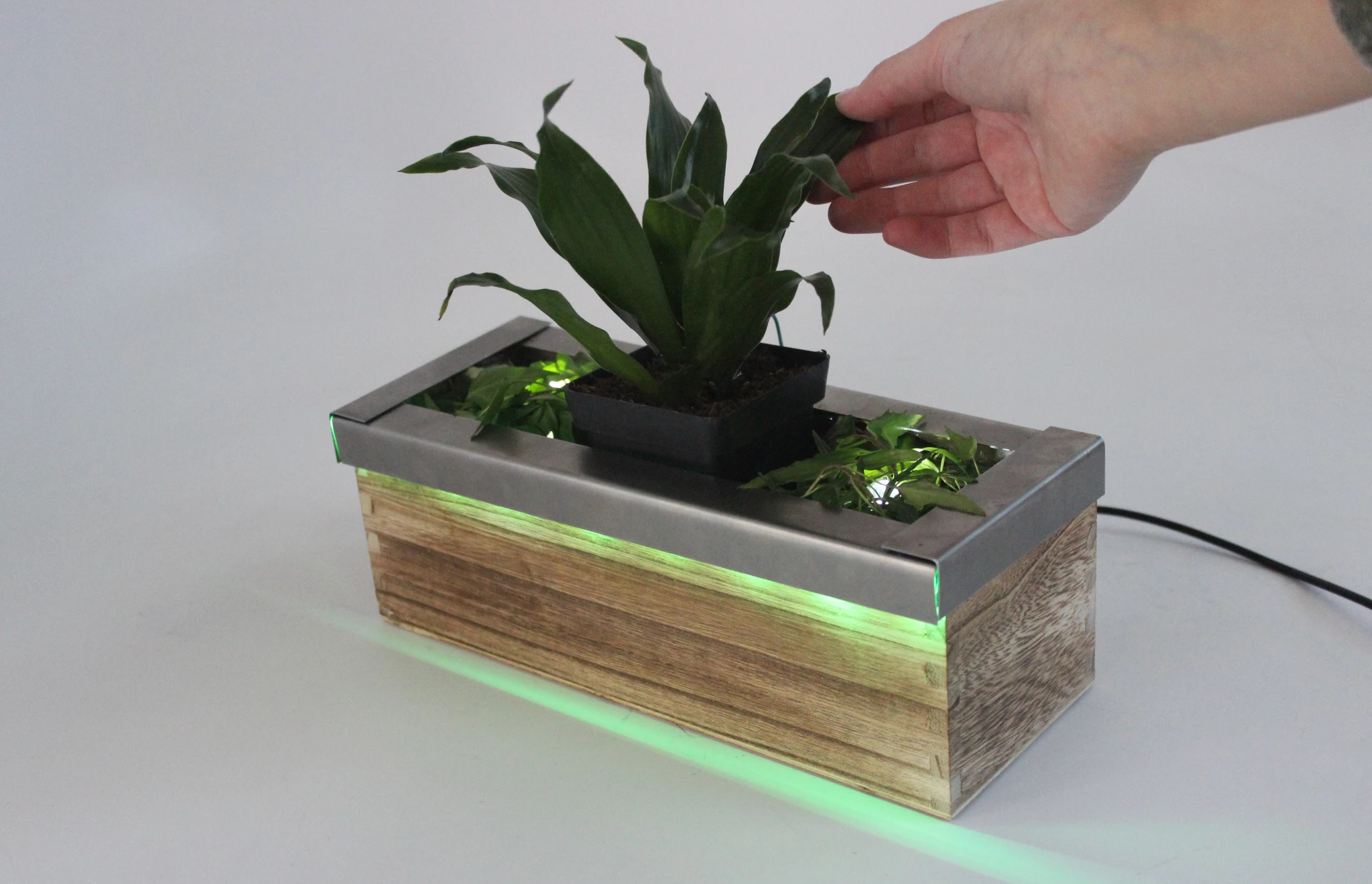 A hand touches a leafy plant in a wooden planter box that glows green around its base.