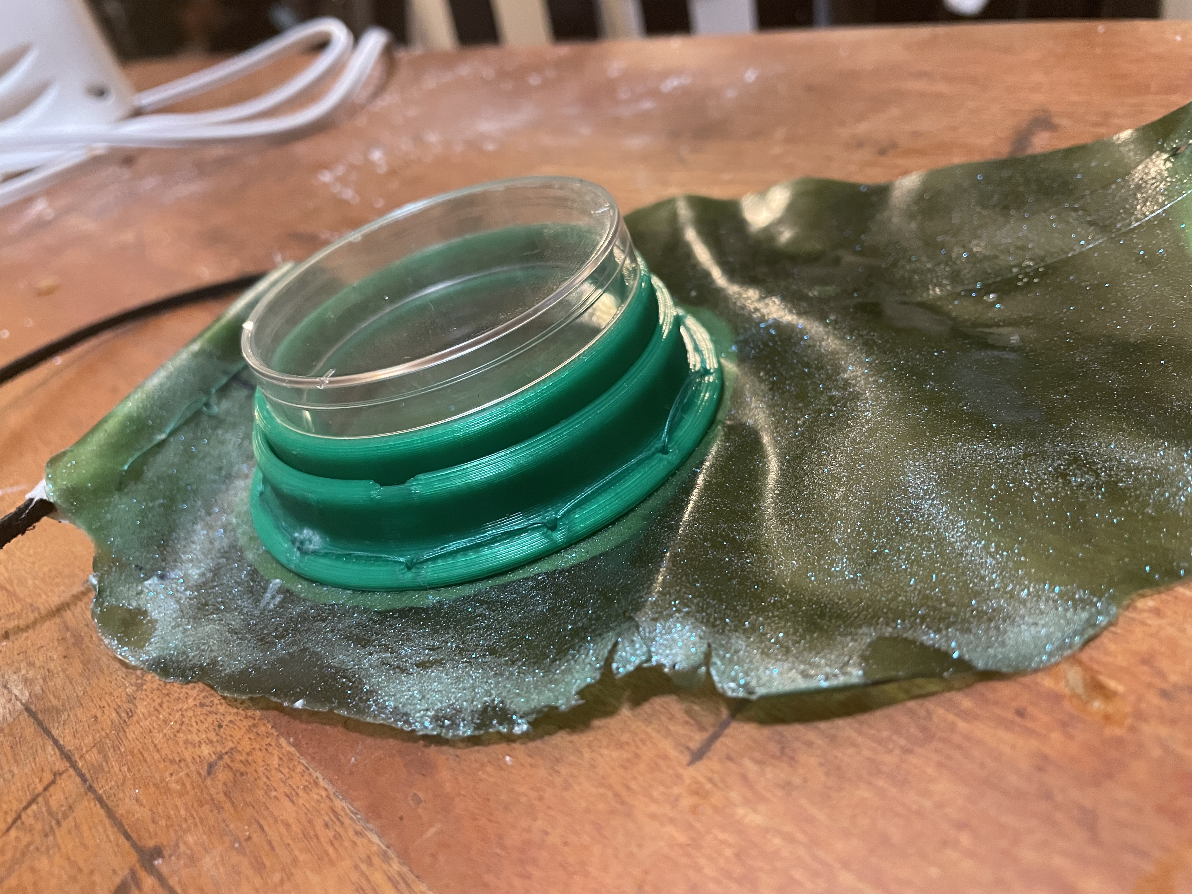 A clear Petri dish set into a green 3D-printed ring embedded in a sheet of green algae-like material.