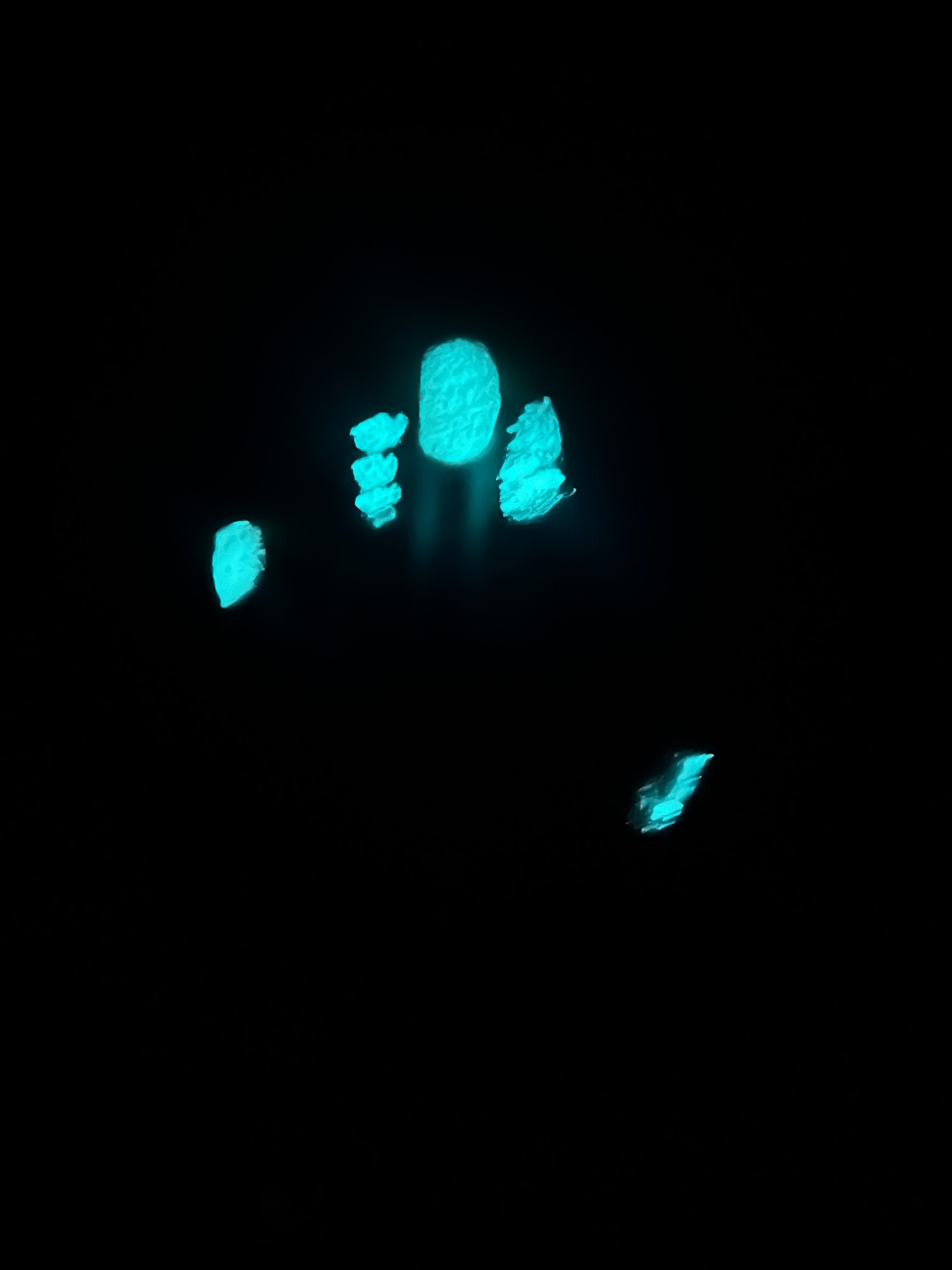 Glowing teal artificial fingernails arranged like a hand, luminescing in the dark.