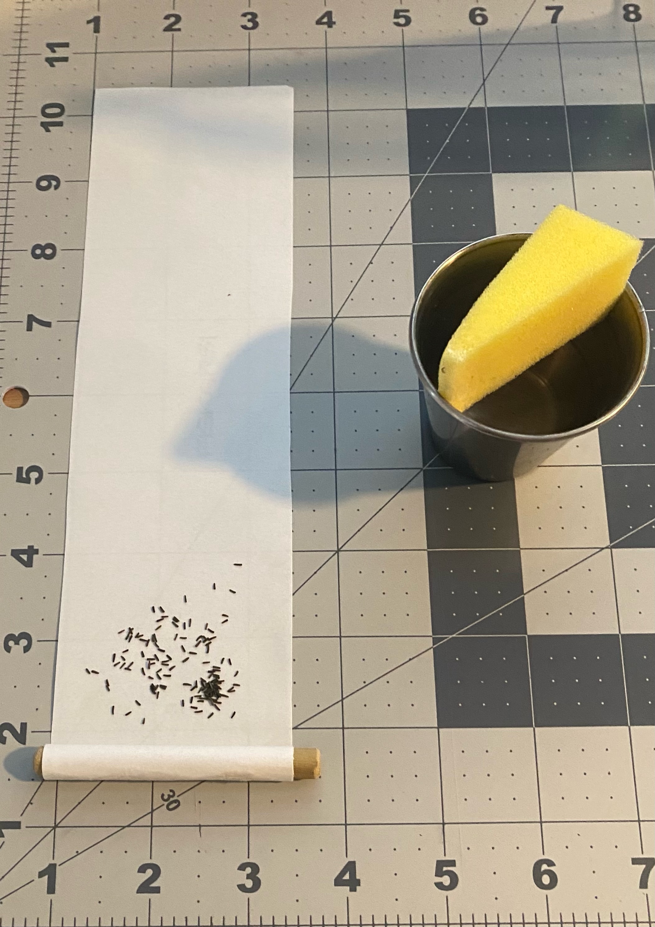 A paper strip sprinkled with seeds rolling onto a dowel, beside a sponge in a metal cup.