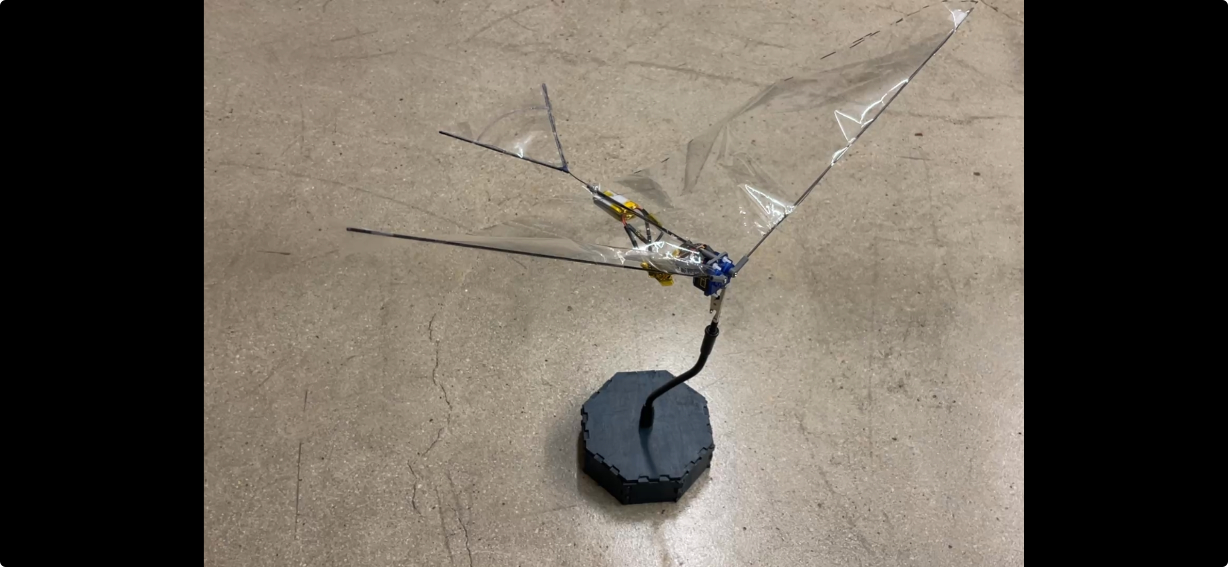 A flapping-wing ornithopter with clear membrane wings mounted upright on a hexagonal stand.